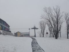 -中旅松花湖滑雪场