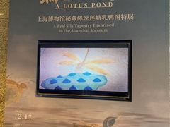 -上海博物馆(人民广场馆)