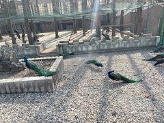 -南京金牛湖风景区