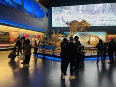 -贝林大翅鲸简餐厅(国家海洋博物馆店)