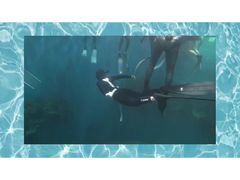 -苏州海洋馆