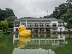 -谷丰健康凤贤居酒家