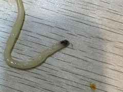 -项记面馆(明瓦廊店)