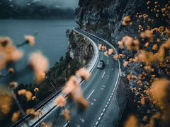 -泰煌鸡·上海白斩鸡·鸡汤面(万航店)