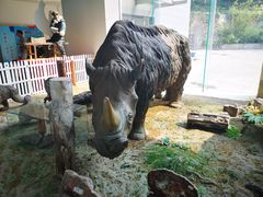 -中国第四纪冰川遗迹陈列馆
