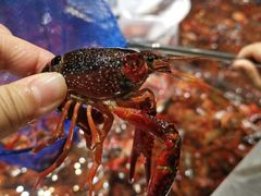 -盒马鲜生(顺义店)