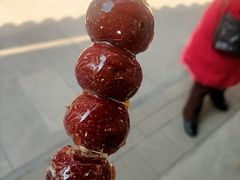 -糖葫芦王保定名吃(古莲花池店)