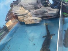 -石家庄市动物园