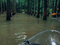 -捞渔河湿地公园