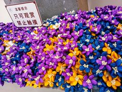 -陆家嘴世纪金融广场