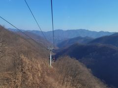 -栾川竹海野生动物园