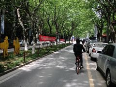 -马黑哥椒麻鸡(清江山水店)