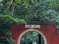 -灵谷景区