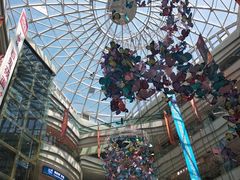 -周鱼小馆石锅酸菜鱼(活力汇店)