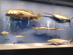 -国家自然博物馆