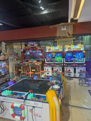 -卡通尼·Safari非洲探索乐园·生日会(金桥国际商业广场店)