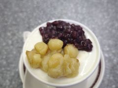 -义顺牛奶公司(新马路老店)