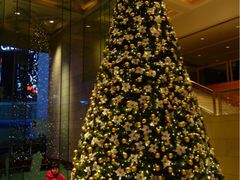 金陵饭店-南京金陵饭店