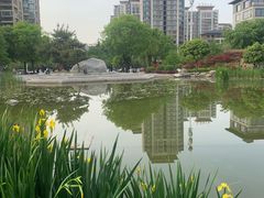 -木塔寺遗址生态公园