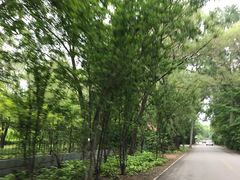 -秦皇岛野生动物园