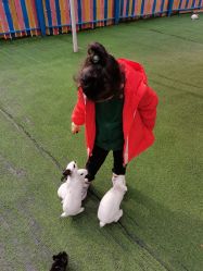 -萌宠亲子动物乐园(槐房万达店)