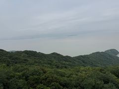 -普陀山慧济禅寺