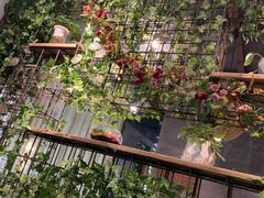 -芭缇沁园椰子鸡(中航紫金新天地店)