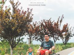 -永定河休闲森林公园