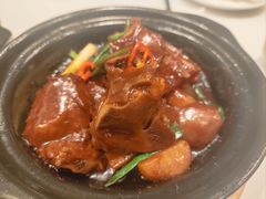 -新雅粤菜馆(南京东路店)