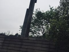 -美丽洲堂