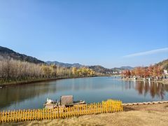 -千年银杏谷文化旅游区