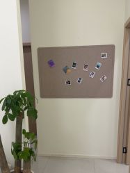 -苗方清颜专业祛痘·皮肤管理