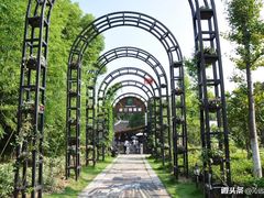 -金山农民画村-枫泾波兰倒置屋