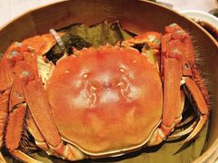 -子福慧(虹桥店)