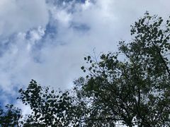 -毛泽东同志旧居