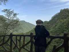 -洛阳白云山景区