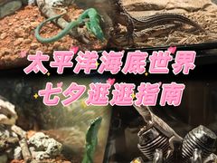 -太平洋海底世界