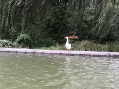 -洛阳市隋唐城遗址植物园