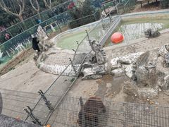 -成都动物园