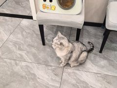 -宠颐生宠物医院·综合诊疗(先锋分院)