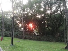 -云溪植物园