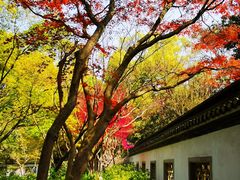 -杭州植物园