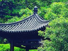 -深圳国际园林花卉博览园