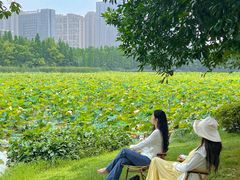 -艾溪湖湿地公园