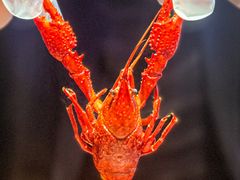 -虾乐园龙虾·夜宵(松江店)