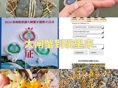 -阳澄湖半岛旅游度假区