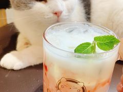 -猫小院猫主题餐厅(南锣旗舰店)
