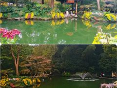 -杭州植物园