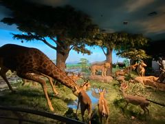 -国家自然博物馆