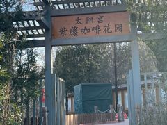 -太阳宫公园